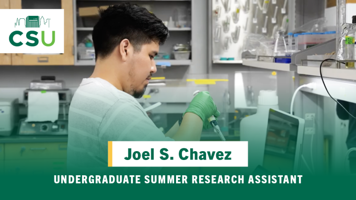 Joel Chavez Undergraduate Summer Research