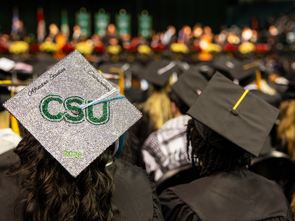 Commencement crowd from behind